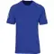 Image for Royal Blue